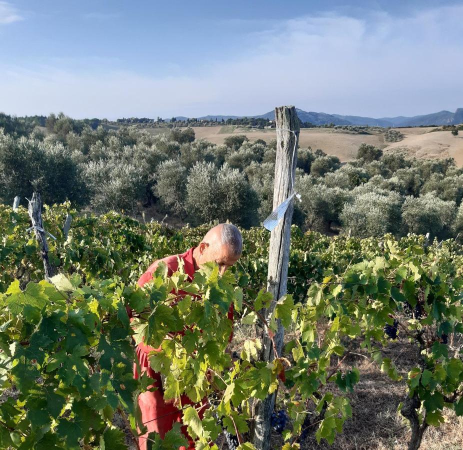 Agriturismo Santa Chiara โปมารันเช ภายนอก รูปภาพ