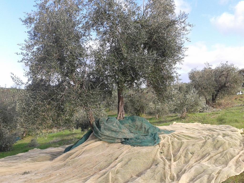 Agriturismo Santa Chiara โปมารันเช ภายนอก รูปภาพ