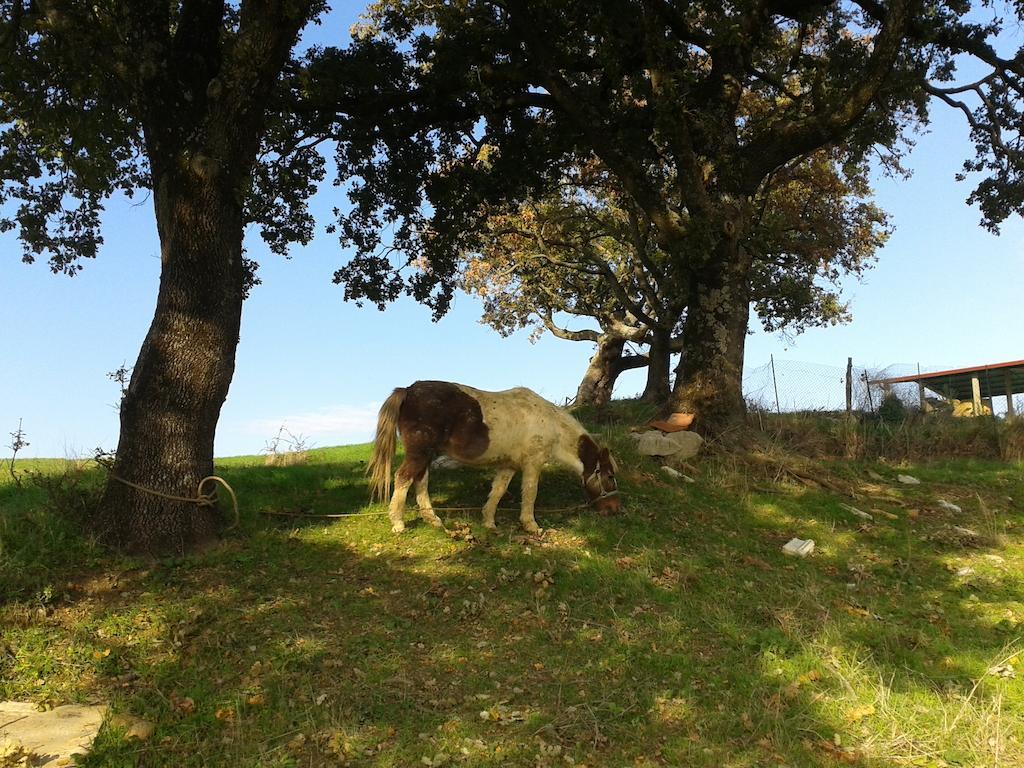 Agriturismo Santa Chiara โปมารันเช ภายนอก รูปภาพ