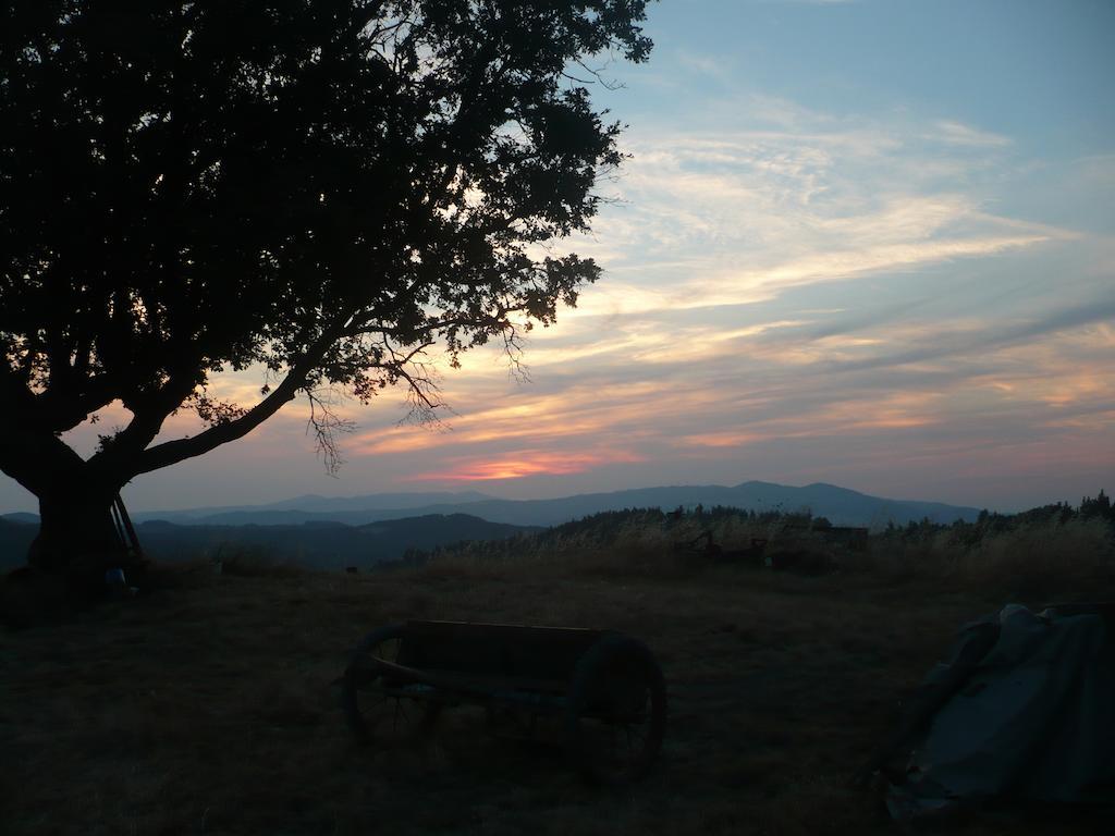 Agriturismo Santa Chiara โปมารันเช ภายนอก รูปภาพ