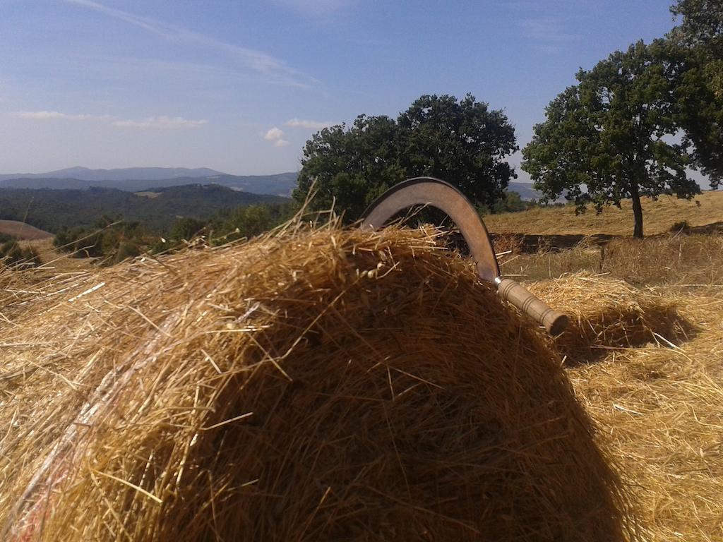 Agriturismo Santa Chiara โปมารันเช ภายนอก รูปภาพ