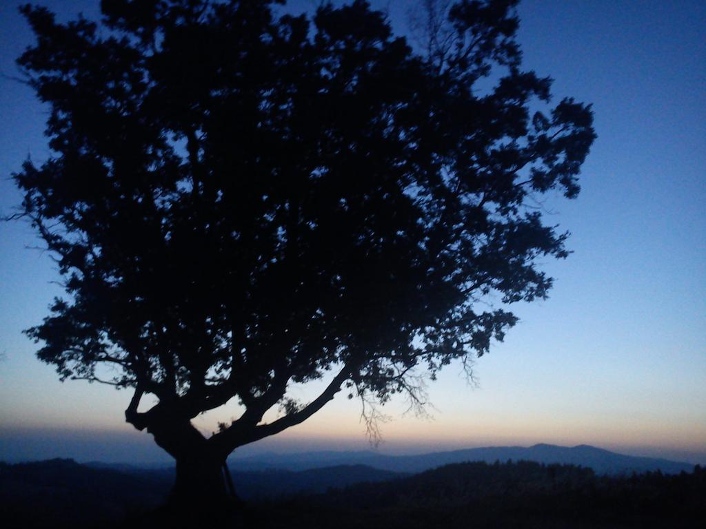 Agriturismo Santa Chiara โปมารันเช ภายนอก รูปภาพ